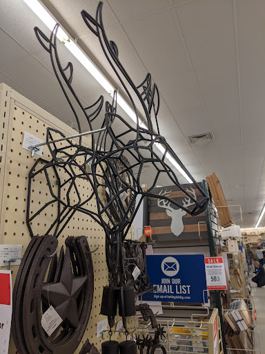 Craft Store «Hobby Lobby», reviews and photos, 3495 Ross Clark Cir #700, Dothan, AL 36303, USA