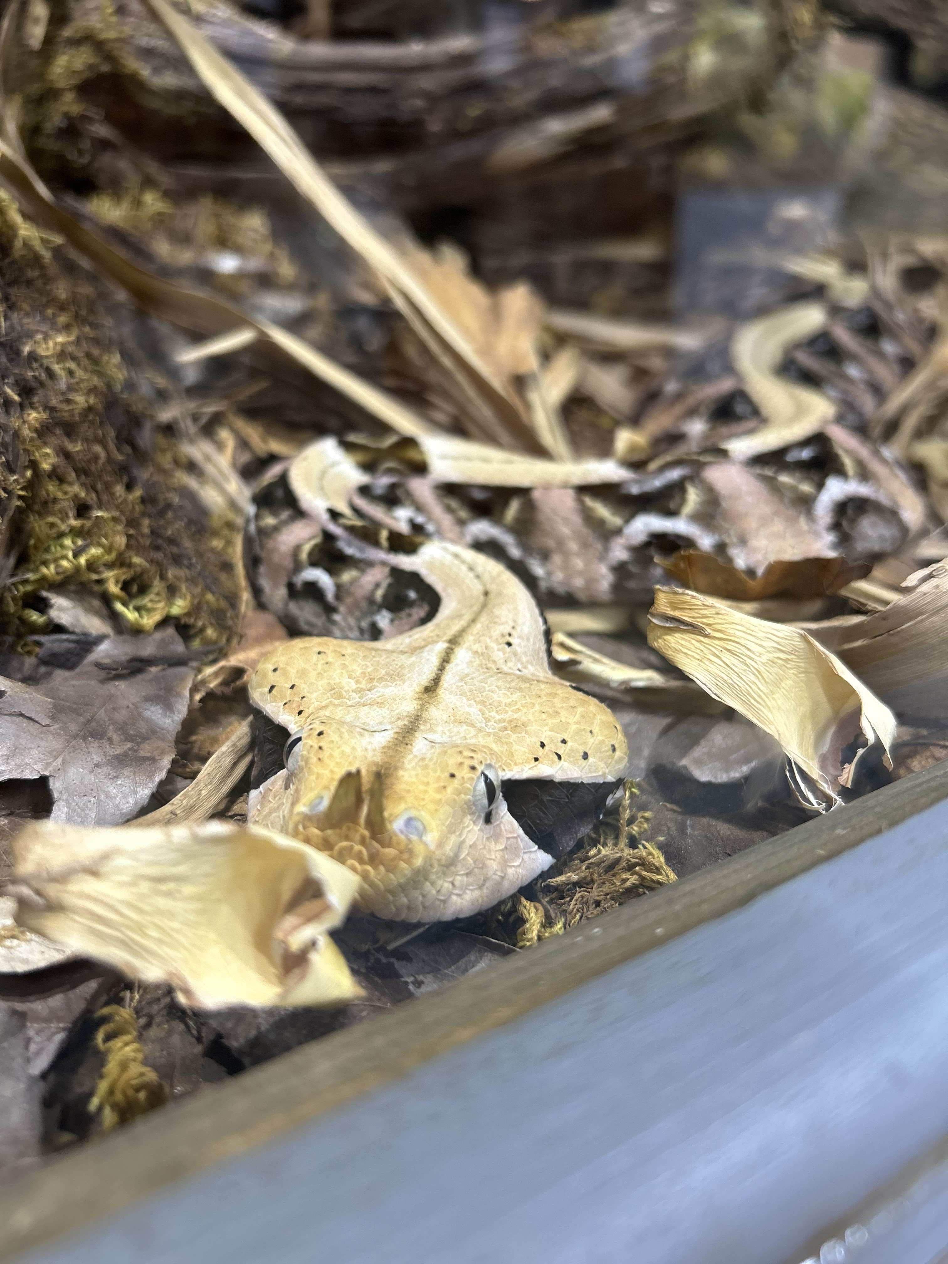 Photo n° 6 de l'avis de chloe.e fait le 26/07/2023 à 15:32