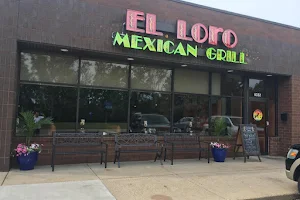 El Loro Mexican Grill image