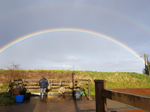 Beacon Dairy Farm