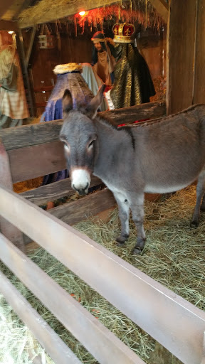 Funeral Home «Paul R Young Funeral Home», reviews and photos, 7345 Hamilton Ave, Cincinnati, OH 45231, USA