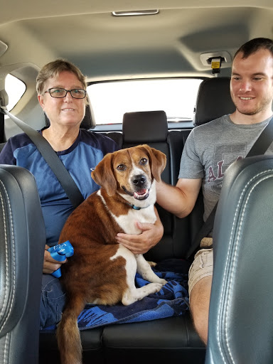 Pet Supply Store «Petco Animal Supplies», reviews and photos, 3835 Phoenix Ave, Fort Smith, AR 72903, USA