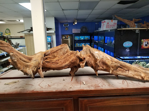 Pet Store «Species Pet Supply», reviews and photos, 1935 W Brandon Blvd, Brandon, FL 33511, USA