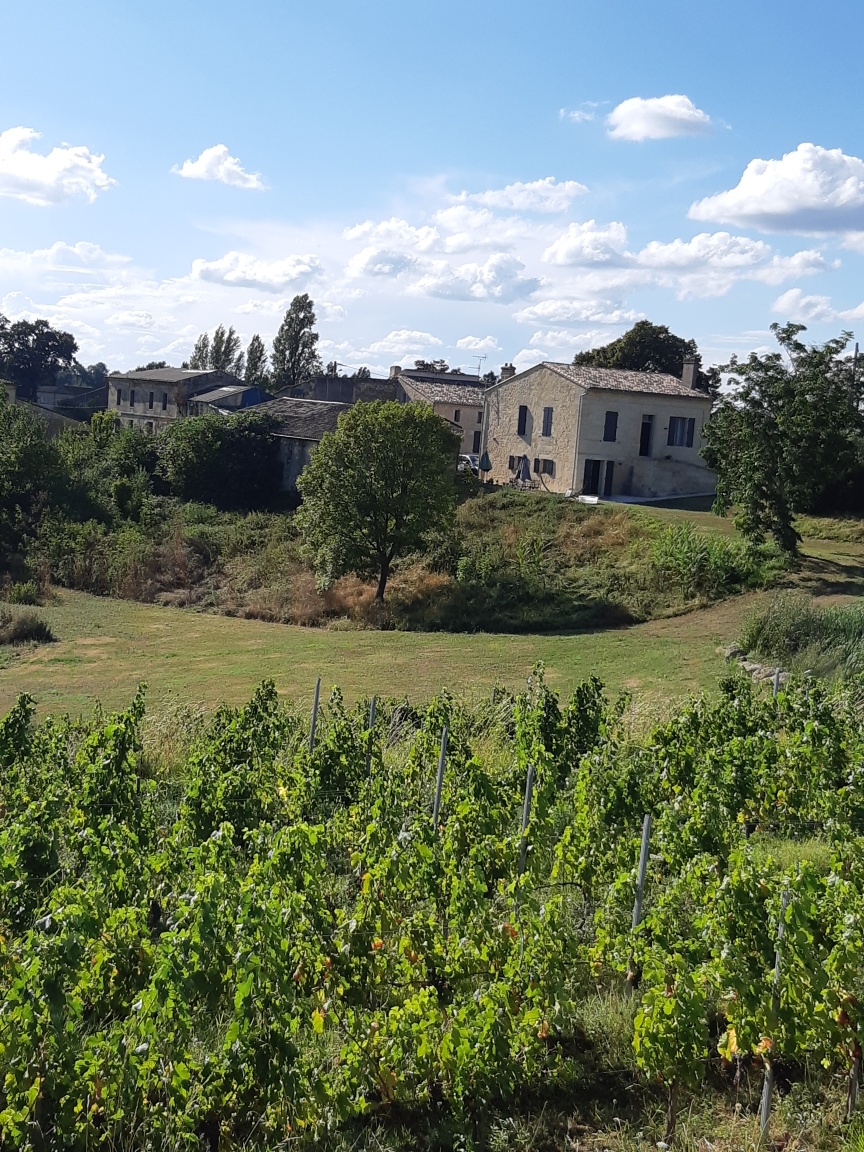 Photo n° 1 de l'avis de Aurélie.A fait le 18/08/2020 à 08:50
