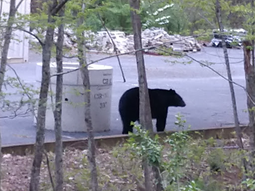 Golf Course «Gatlinburg Golf Course», reviews and photos, 520 Dollywood Ln, Pigeon Forge, TN 37863, USA