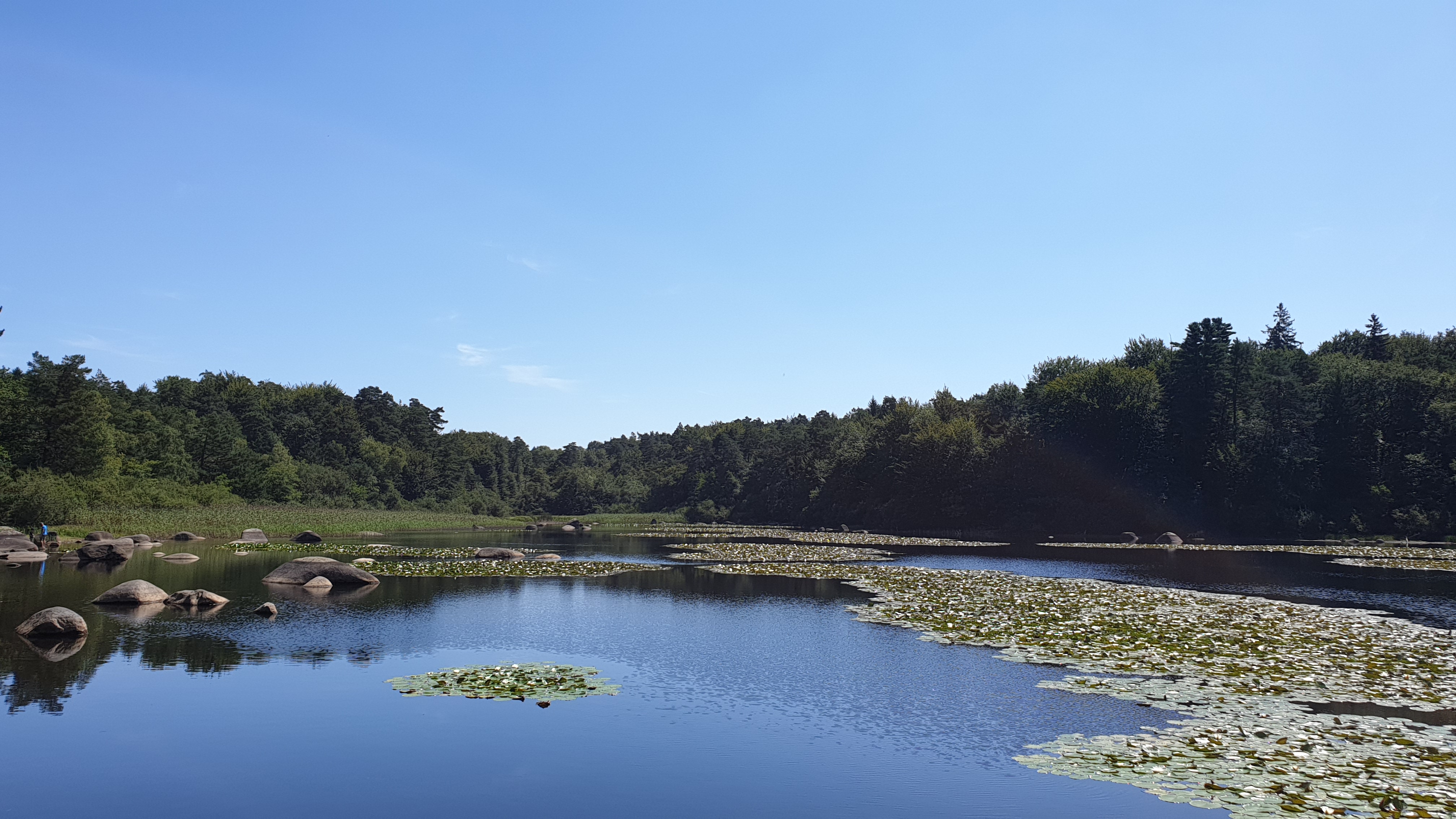 Photo n° 1 de l'avis de Benjamin.e fait le 30/08/2019 à 12:52