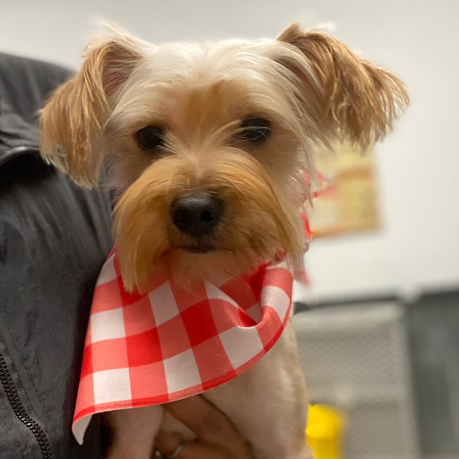 Pet Supply Store «Big Tex Feed & Pet Supply», reviews and photos, 7102 Cullen Blvd, Houston, TX 77021, USA