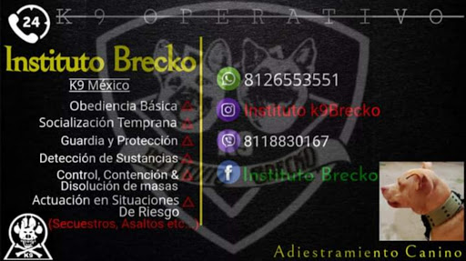 Instituto Brecko