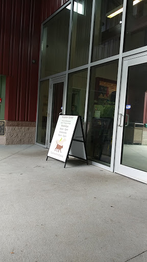 Animal Protection Organization «Charleston Animal Society», reviews and photos