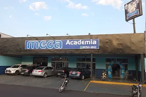 Mega Academia image