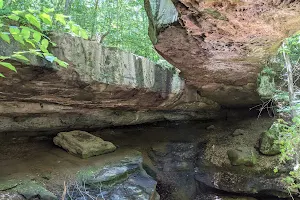 Rockbridge State Nature Preserve image