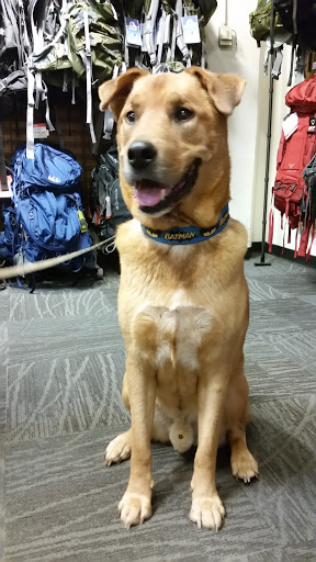 Camping Store «REI», reviews and photos, 3825 S Steele St, Tacoma, WA 98409, USA