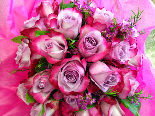 Florist «Solano Florist», reviews and photos, 1863 Solano Ave, Berkeley, CA 94707, USA