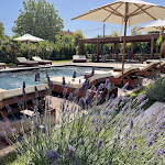 Photo n°4 de l'avis de chiara.d fait le 08/05/2022 à 07:46 sur le  Santa Lucia Maccarese à Fregenae