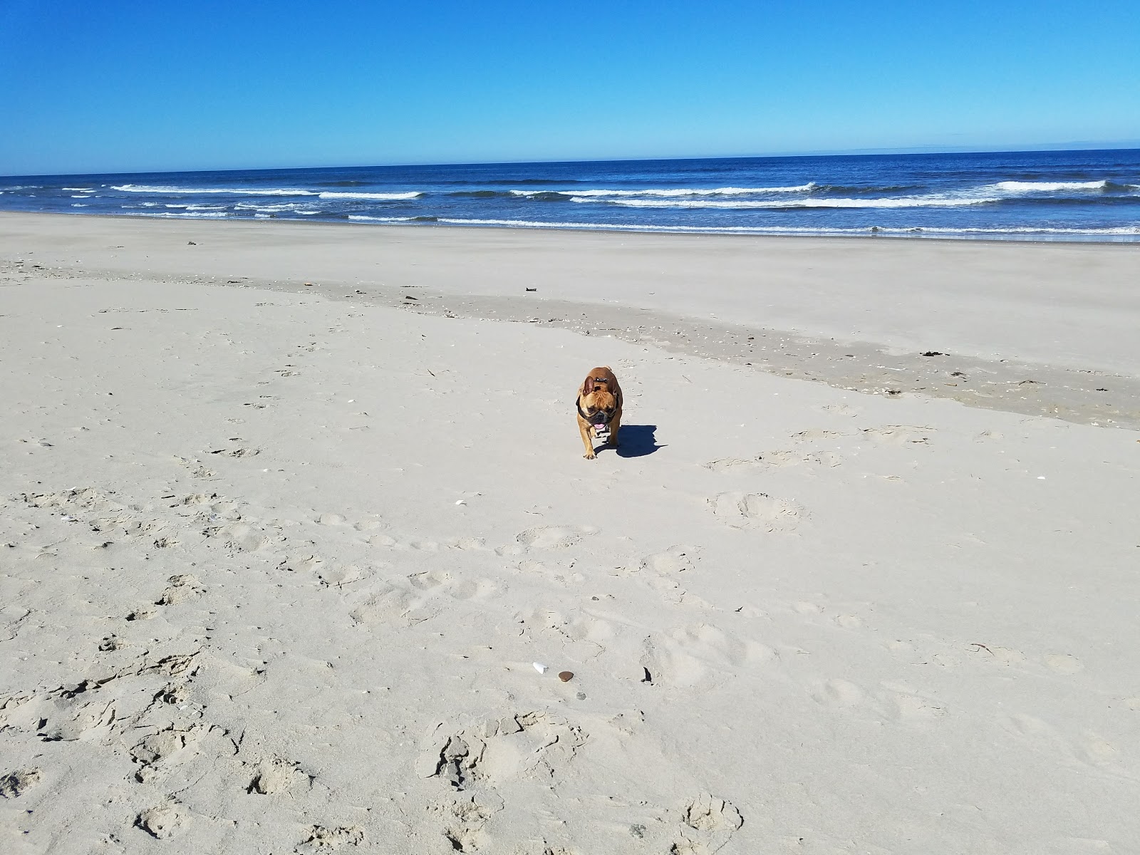 Foto de Ocean Way Beach com alto nível de limpeza