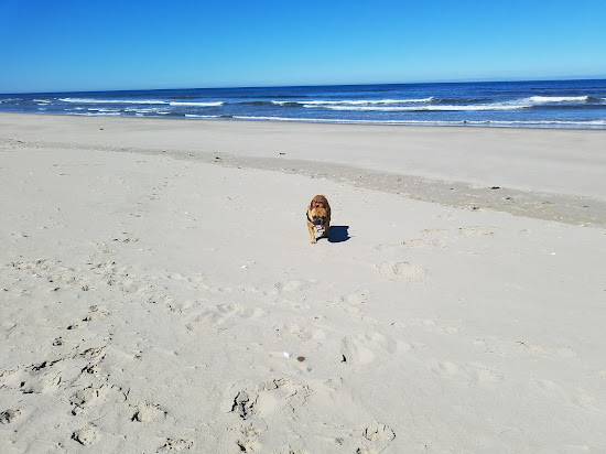 Ocean Way Beach