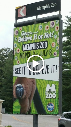 Zoo «Memphis Zoo», reviews and photos, 2000 Prentiss Pl, Memphis, TN 38112, USA