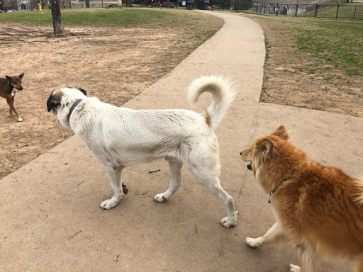 Dog Park «MacArthur Dog Park», reviews and photos, 601 E 9th St, Little Rock, AR 72202, USA