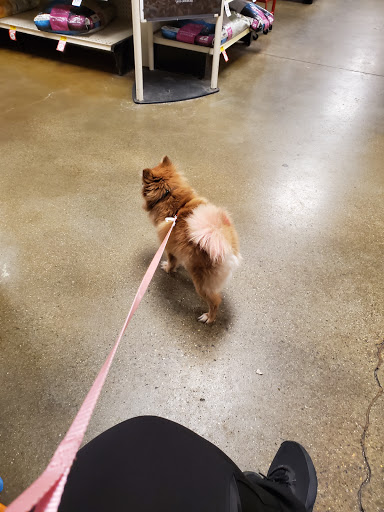 Pet Supply Store «PetSmart», reviews and photos, 238 Atlantic Ave, Brooklyn, NY 11201, USA