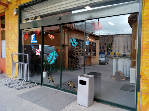 Fish shops in Brussels