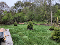 Green Giant Services - Photo 5 - Car repair in Utica, MI, Sterling Heights