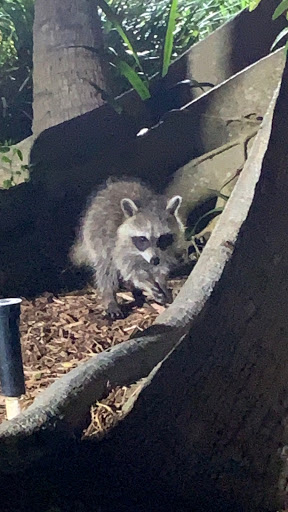 Performing Arts Theater «The Township Community Master Association Inc», reviews and photos, 2452 Lyons Rd, Pompano Beach, FL 33063, USA