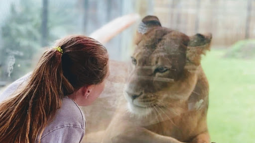 Zoo «ZooWorld Zoological and Botanical Conservatory», reviews and photos, 9008 Front Beach Rd, Panama City Beach, FL 32407, USA