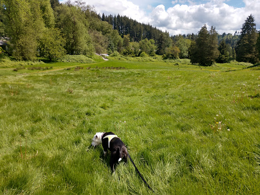 Golf Course «Wayne Public Golf Course», reviews and photos, 16721 96th Ave NE, Bothell, WA 98011, USA