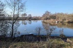 Langdon Nature Discovery Park image