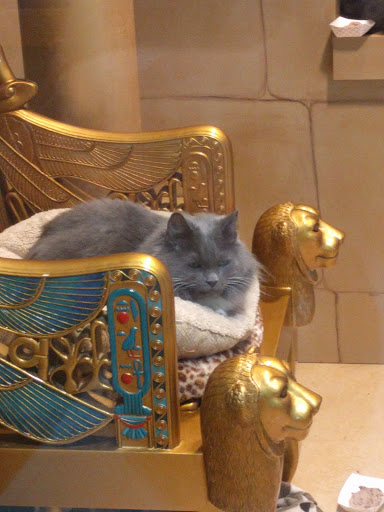 Animal Shelter «Oregon Humane Society», reviews and photos