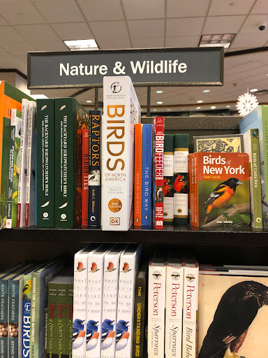 Book Store «Barnes & Noble», reviews and photos, 3454 Erie Blvd E, Syracuse, NY 13214, USA