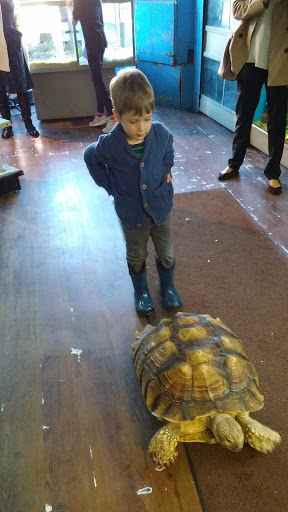 Vegetarian Restaurant «Blind Faith Cafe», reviews and photos, 525 Dempster St, Evanston, IL 60201, USA