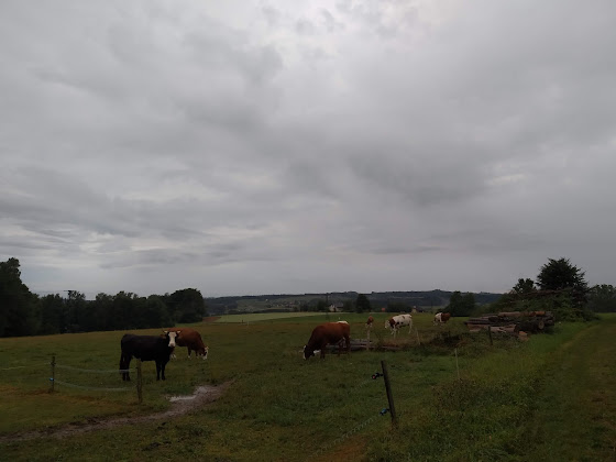 Photo Ferienwohnung Ferienhof Forstmoar 83536 Gars