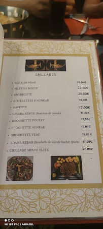 Restaurant turc Elite Restaurant à Bron (le menu)