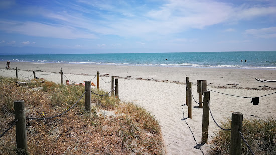 Tahunanui Beach
