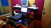 user
