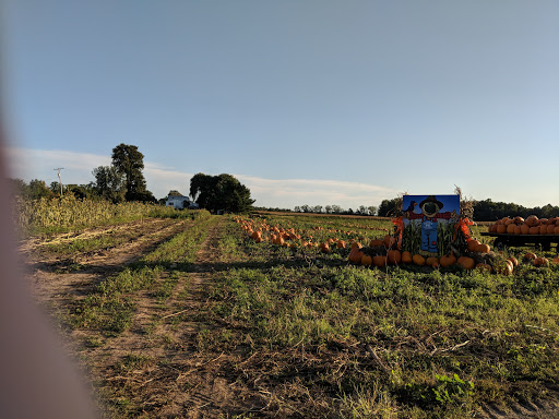 Produce Market «Rush Vegetables», reviews and photos, 2120 Eagle Harbor Waterport Rd, Albion, NY 14411, USA