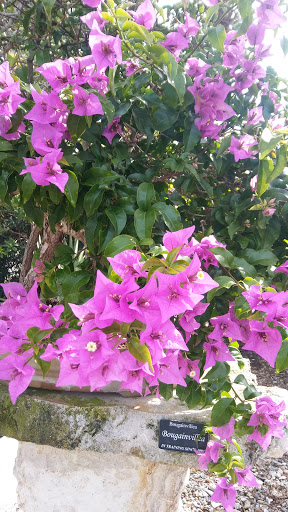 Botanical Garden «Heathcote Botanical Gardens», reviews and photos, 210 Savannah Rd, Fort Pierce, FL 34982, USA