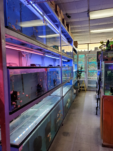 Pet Store «D D Fish & Pets», reviews and photos, 2413 S Fairview St, Santa Ana, CA 92704, USA