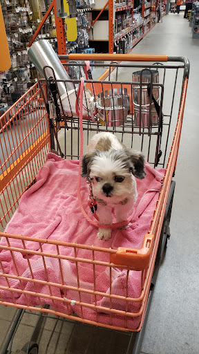 Home Improvement Store «The Home Depot», reviews and photos, 85 Main St, Tewksbury, MA 01876, USA