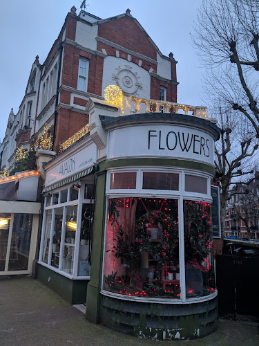 Avalon Flowers - London