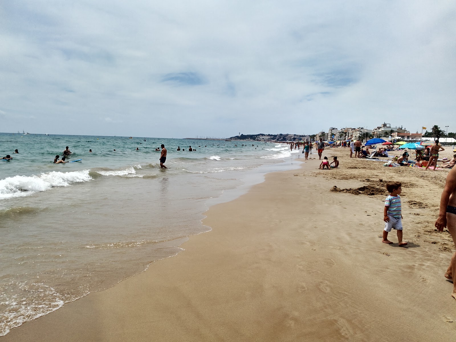 Playa Torredembarra'in fotoğrafı vahşi alan