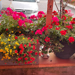 Photo n°3 de l'avis de BeMi.o fait le 06/04/2022 à 13:40 sur le  Fellini Holzofenpizza & Salate à Mosbach