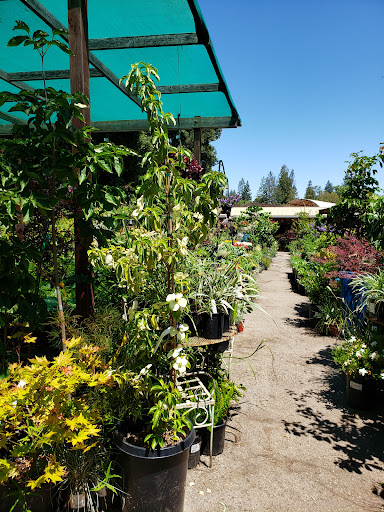 Garden Center «Ladera Garden & Gifts», reviews and photos, 3130 Alpine Rd #380, Portola Valley, CA 94028, USA