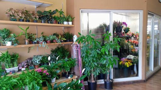 Florist «Apple Blossom Florist», reviews and photos, 2807 Telegraph Ave, Oakland, CA 94609, USA
