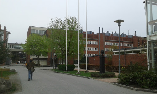 Department of Clinical Neuroscience (CNS)