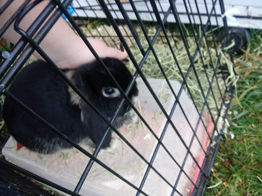 Tropical Fish Store «Animal House Pet Shop», reviews and photos, 358 Warner Milne Rd #110, Oregon City, OR 97045, USA