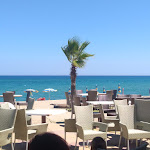 Photo n°1 de l'avis de stefania.a fait le 10/09/2019 à 03:52 sur le  Il Petelino à Tronca