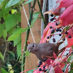 Photo n°1 de l'avis de Heiko.L fait le 08/11/2021 à 19:02 sur le  Weißt Du noch... Gästehäuser & Suiten Kühlungsborn & Rügen à Kühlungsborn