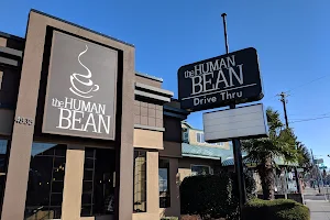 The Human Bean image